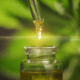 Best-oil-extracting-solvents
