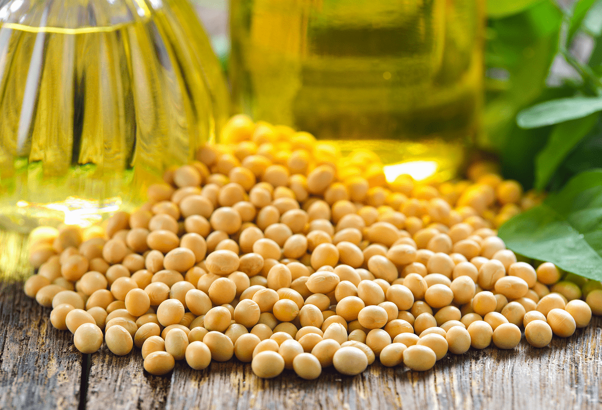 What is Soybean Oil - RBD Soybean Oil Applications