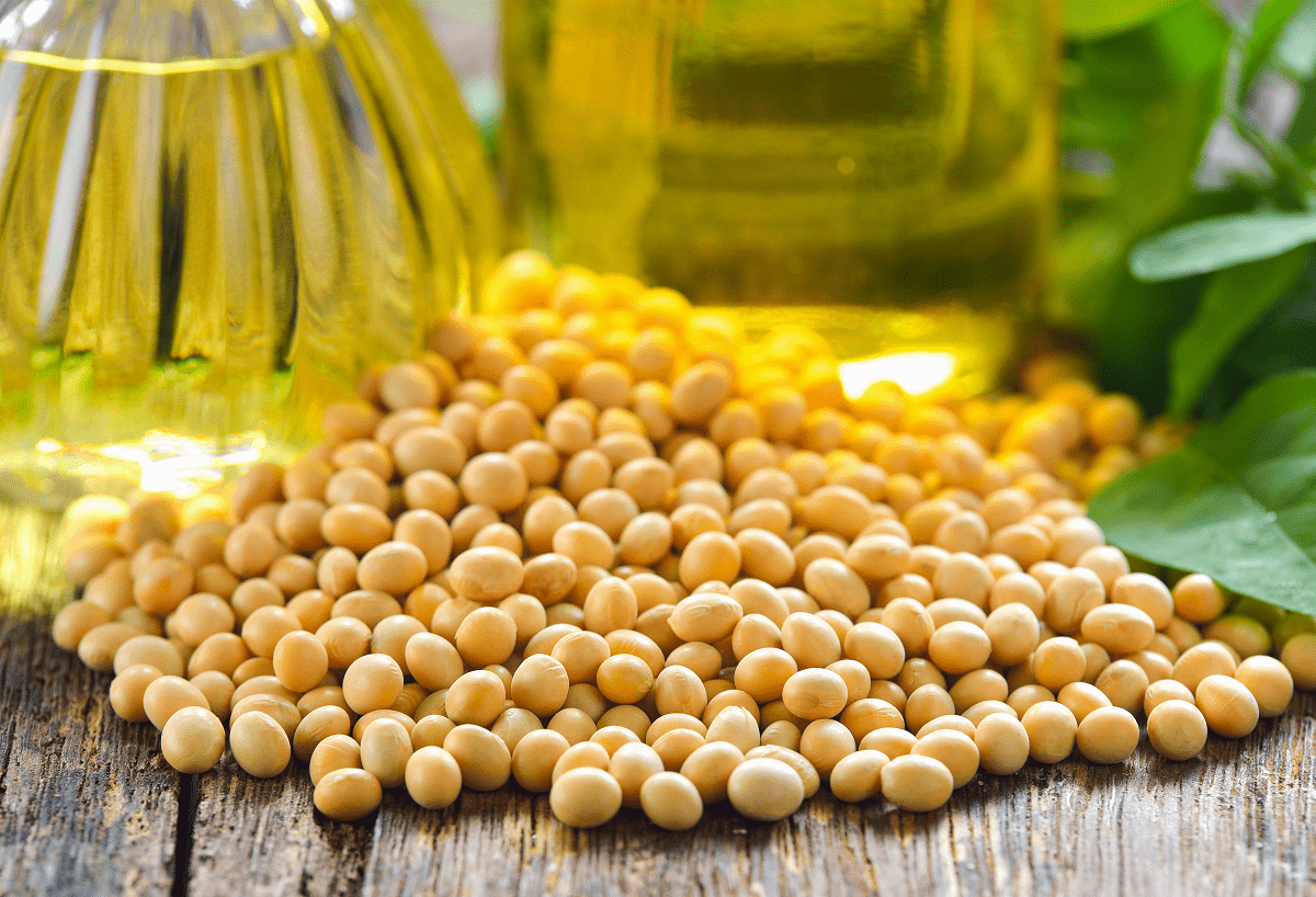 how to make soybean oil