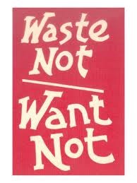 waste not want not
