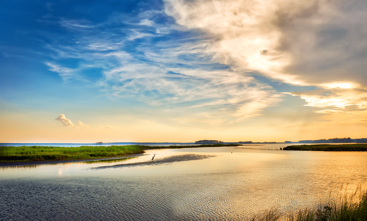 Cleaning Up Chesapeake Bay – Thomas Brennan