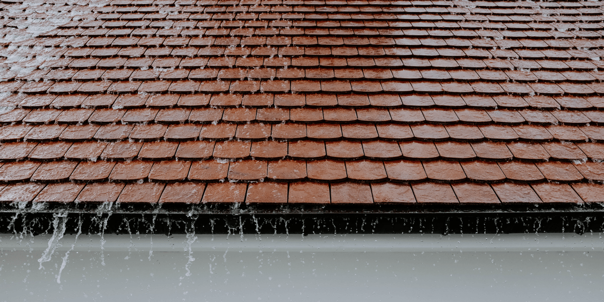 Benefits Of Soft Washing Your Roof 