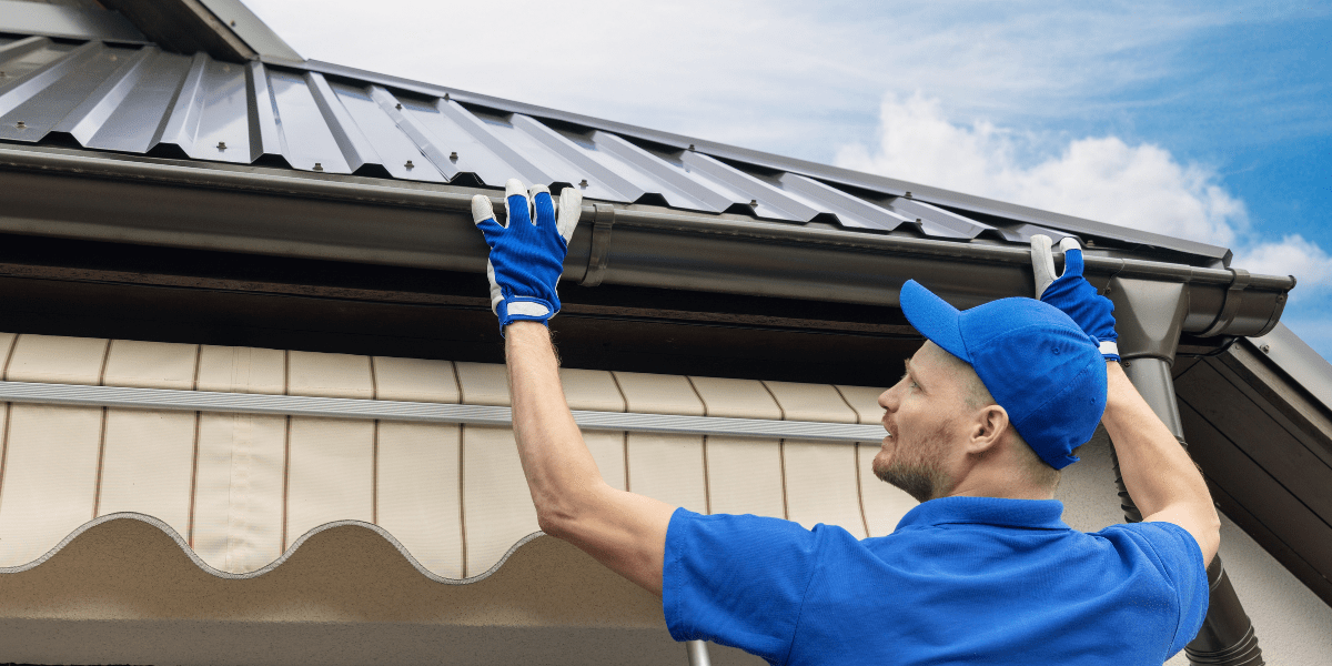 Soft Wash Roof Cleaning 