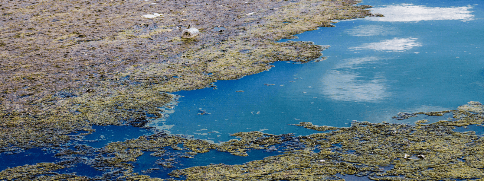 Biofouling Prevention Treatment