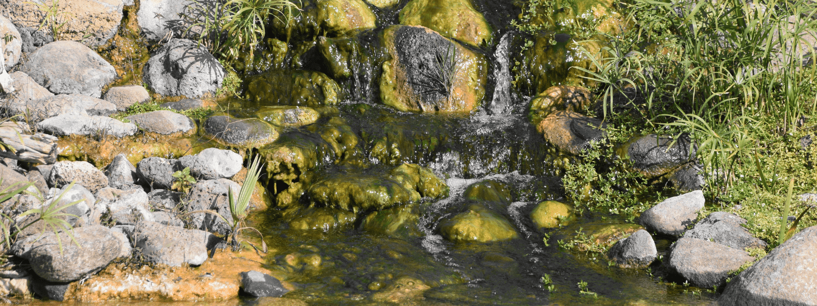 Why Is There Biofilm in Cooling Towers?