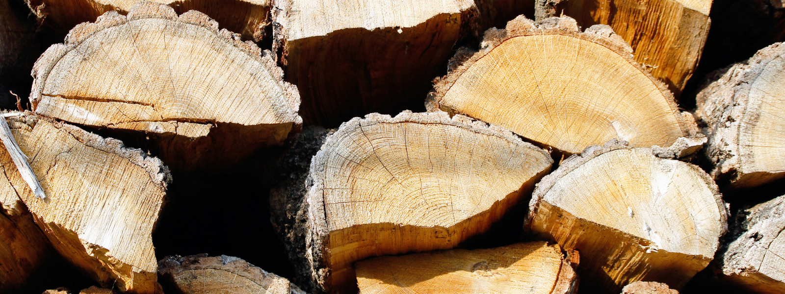 Wood Alcohol: Properties and Applications in Various Industries  