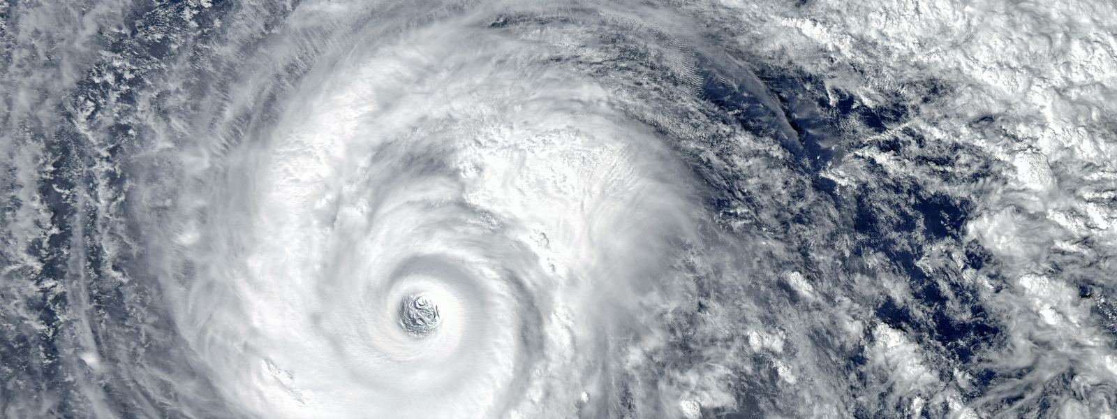 D-Limonene Production Disruptions: The Impact of Hurricane Milton