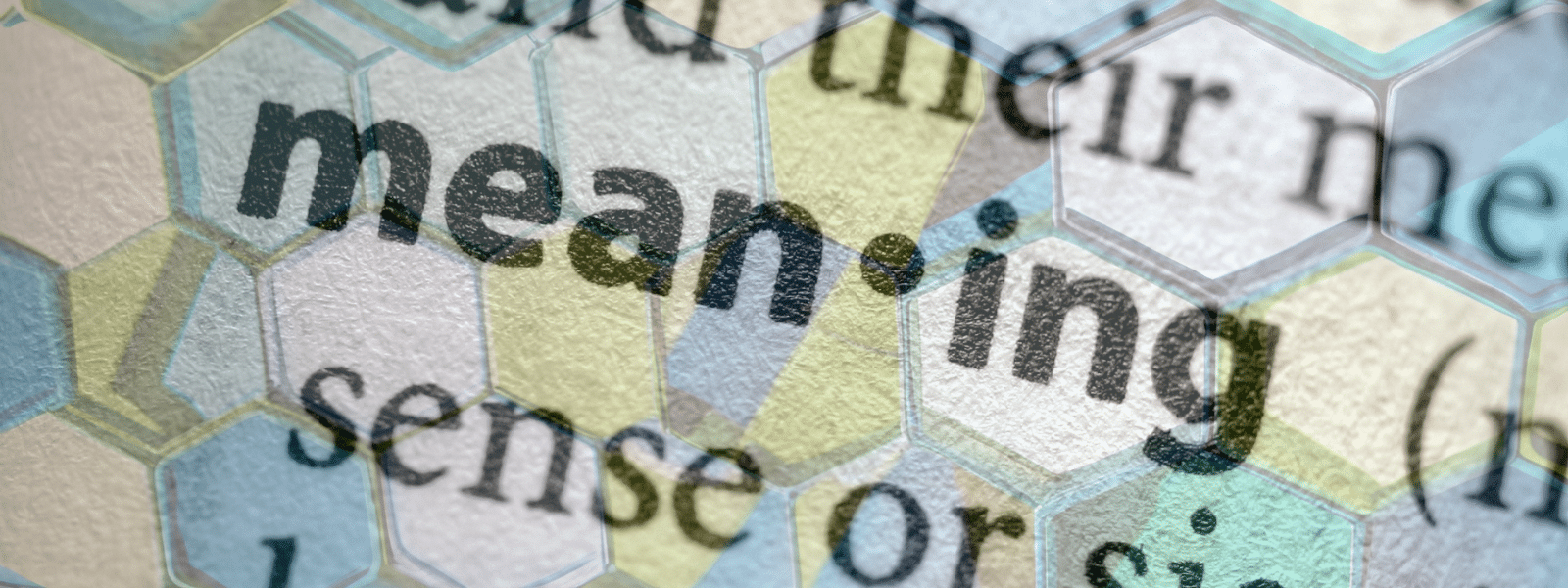 PFAS MEANING DEFINITIONS