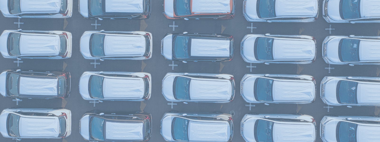 Best vehicle degreasers