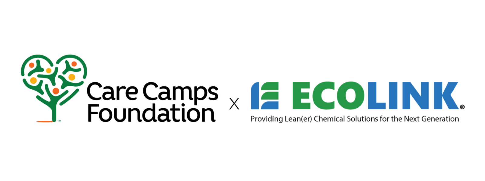 Ecolink & Care Camps Foundation